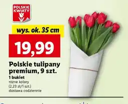 Lidl Tulipany 35 cm oferta