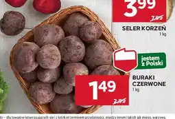 Stokrotka Buraki czerwone oferta