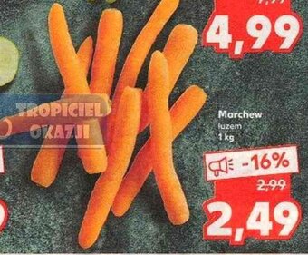 Kaufland Marchew 1kg oferta