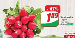 Dino Rzodkiewka oferta