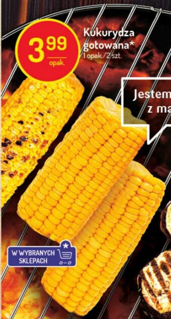 Delikatesy Centrum Kukurydza gotowana 2szt. oferta