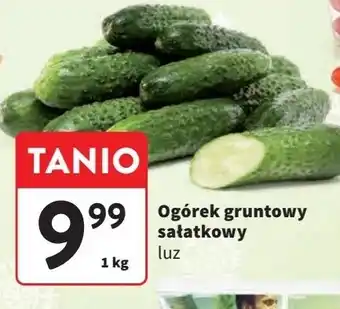 Intermarche Ogórek gruntowy oferta