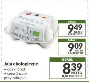 Makro Jajka ekologiczne 6szt. oferta