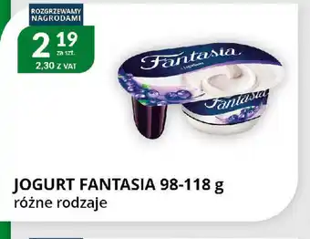 Eurocash Cash & Carry Jogurt Fantasia oferta