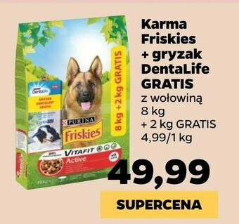 Netto Karma Friskies + gryzak DentaLife GRATIS oferta