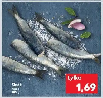 Kaufland Śledz tusza oferta