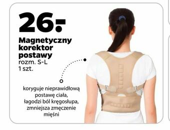 Netto Magnetyczny korektor postawy oferta