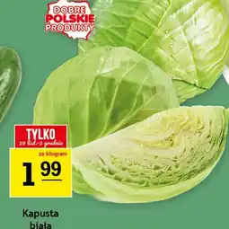 Gram Market Kapusta biała oferta