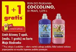Biedronka Płyn do płukania Coccolino oferta
