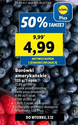 Lidl Borówka amerykańska oferta