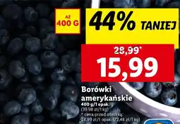 Lidl Borówki amerykańskie oferta