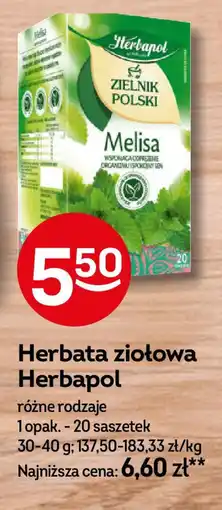 Żabka Herbata ziołowa Herbapol oferta