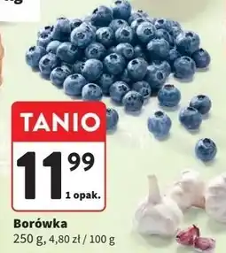 Intermarche Borówki amerykańskie oferta