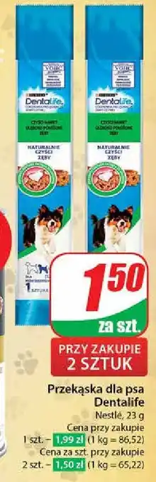 Dino Przekąska dla psa Purina Dentalife oferta