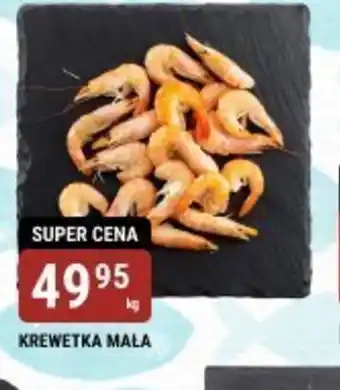 bi1 Krewetka mała oferta