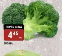 bi1 Brokuł oferta
