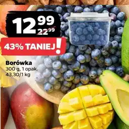 Netto Borówki amerykańskie oferta