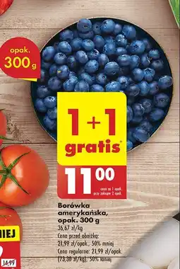 Biedronka Borówki amerykańskie oferta