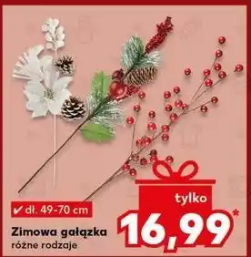 Kaufland Gałązka zimowa oferta