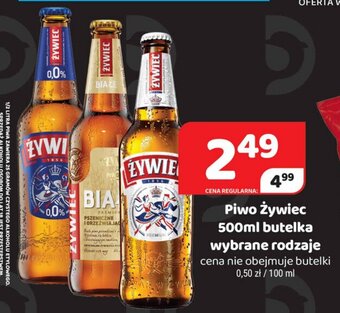 Delfin Piwo Żywiec 500ml oferta