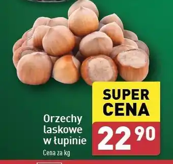 ALDI Orzechy włoskie niełuskane oferta