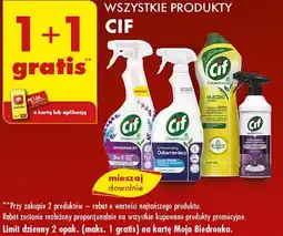 Biedronka Produkty CIF oferta