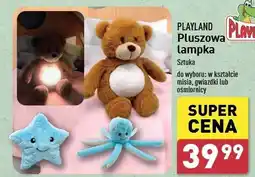 ALDI Lampka pluszowa miś Playland oferta