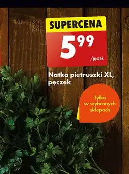 Biedronka Natka pietruszki xl oferta