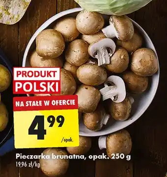 Biedronka Pieczarki brunatne polska oferta