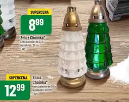 Polomarket Znicz Choinka oferta