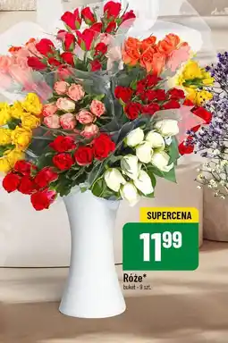 Polomarket Róże oferta
