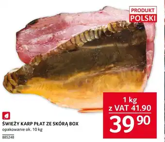 Selgros Karp Ok oferta