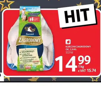 Selgros Kurczak Zagrodowy oferta