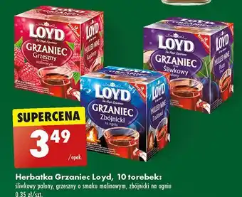 Biedronka Grzaniec śliwkowy palony Loyd tea grzaniec oferta