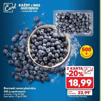 Kaufland Borówka amerykańska oferta