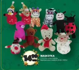 Stokrotka Maskotka S! oferta