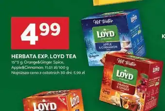 Stokrotka Herbata hot winter orange & ginger Loyd tea the magic experience oferta