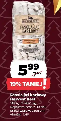 Netto Fasola jaś karłowy Harvest Best oferta