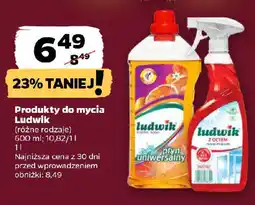 Netto Produkty do mycia Ludwik oferta