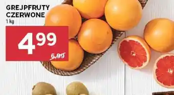 Stokrotka Grejpfruty czerwone oferta