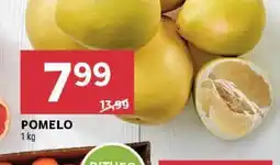 Stokrotka Pomelo oferta