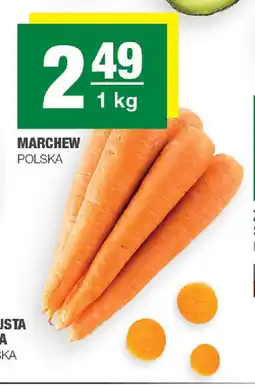 Spar Marchew Polska oferta