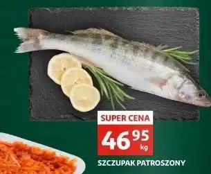 Auchan Szczupak patroszony oferta
