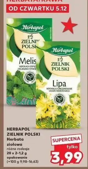 Kaufland Herbatka melisa Herbapol oferta