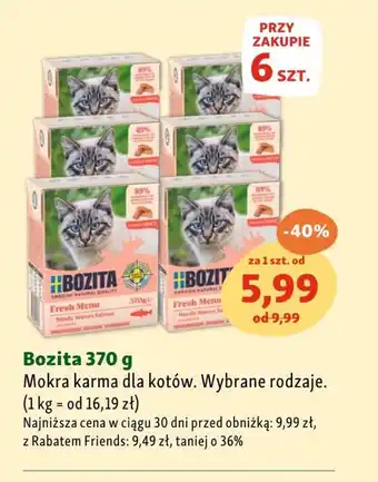 Maxi Zoo Mokra karma dla kota Bozita oferta