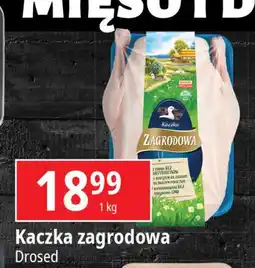 E.Leclerc Kaczka zagrodowa Drosed oferta