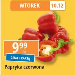 E.Leclerc Papryka czerwona oferta