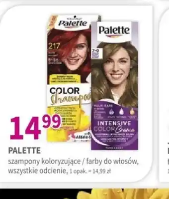 Drogerie Polskie Palette szampony/farby do włosów oferta