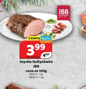 Delfin Szninka Softyśówka JBB oferta