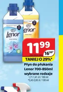 Delfin Płyn do płukania Lenor oferta